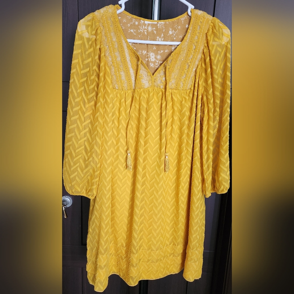 Anthropologie Maeve Embroidered 3/4 Long Sleeved Dress Size Small